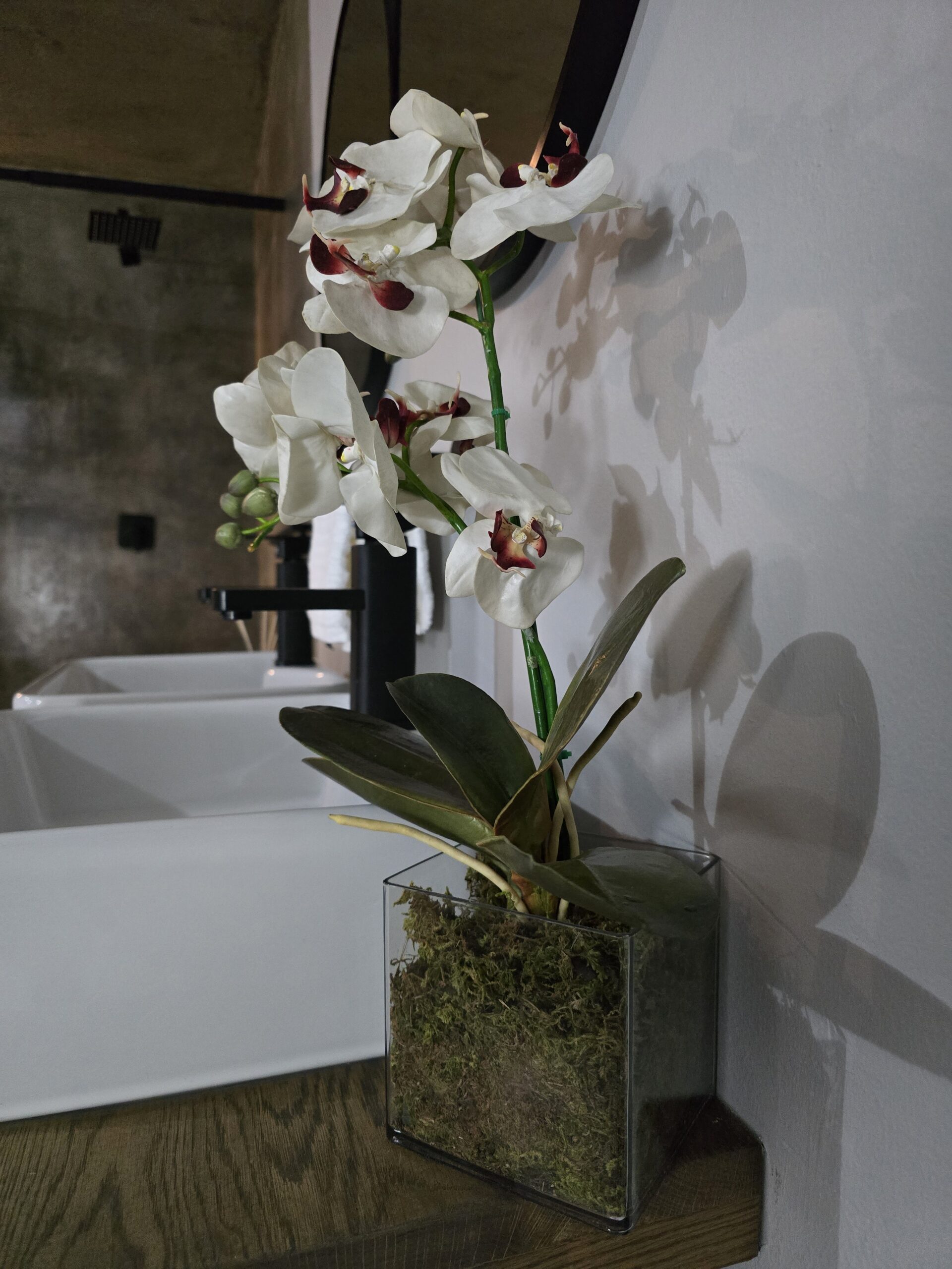 Amara Luxury South African safari experience in Kruger National Park with My African Hunting – wildlife, nature, and adventure tours”