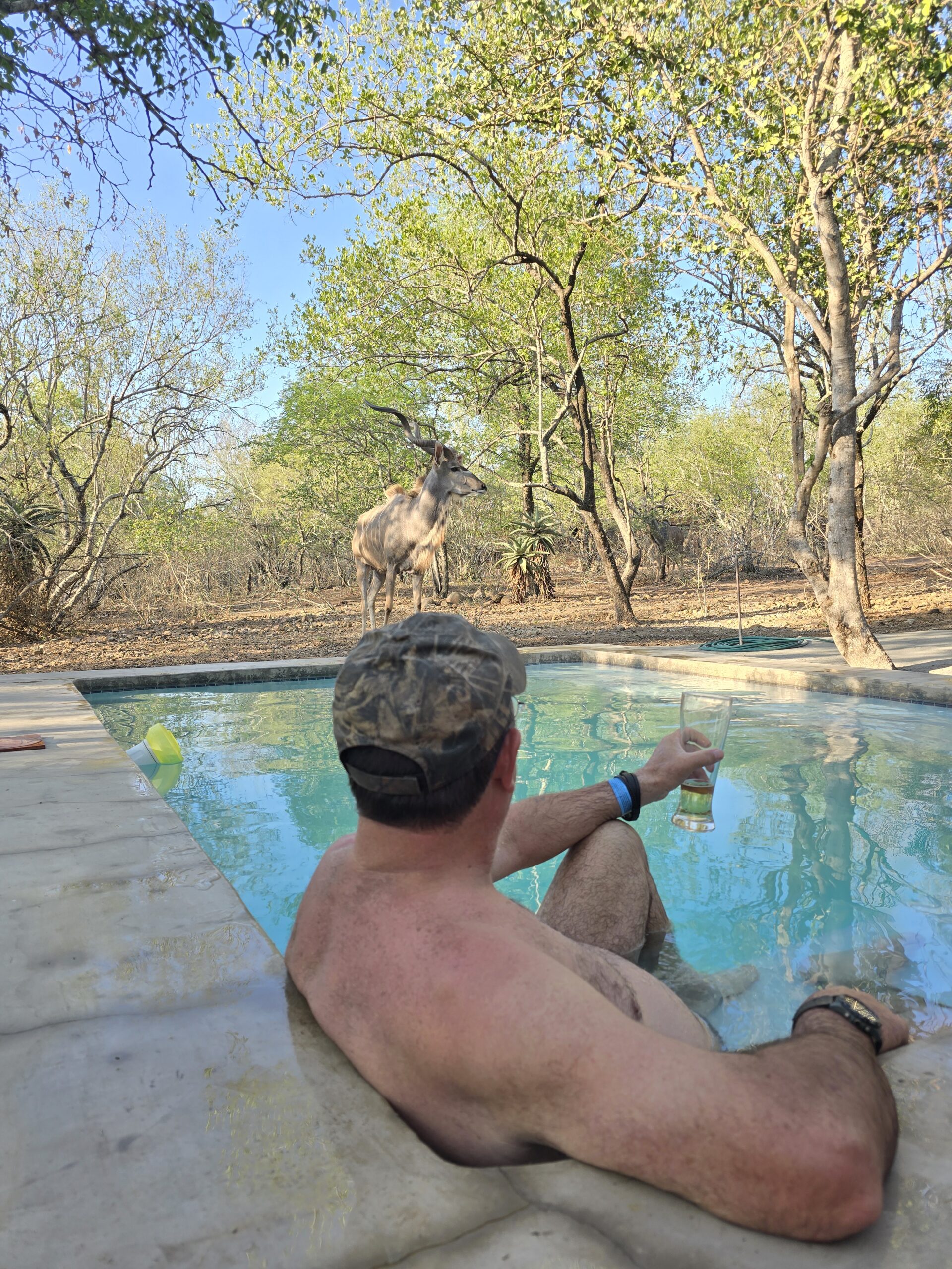 Bush accomodation Luxury South African safari experience in Kruger National Park with My African Hunting – wildlife, nature, and adventure tours”