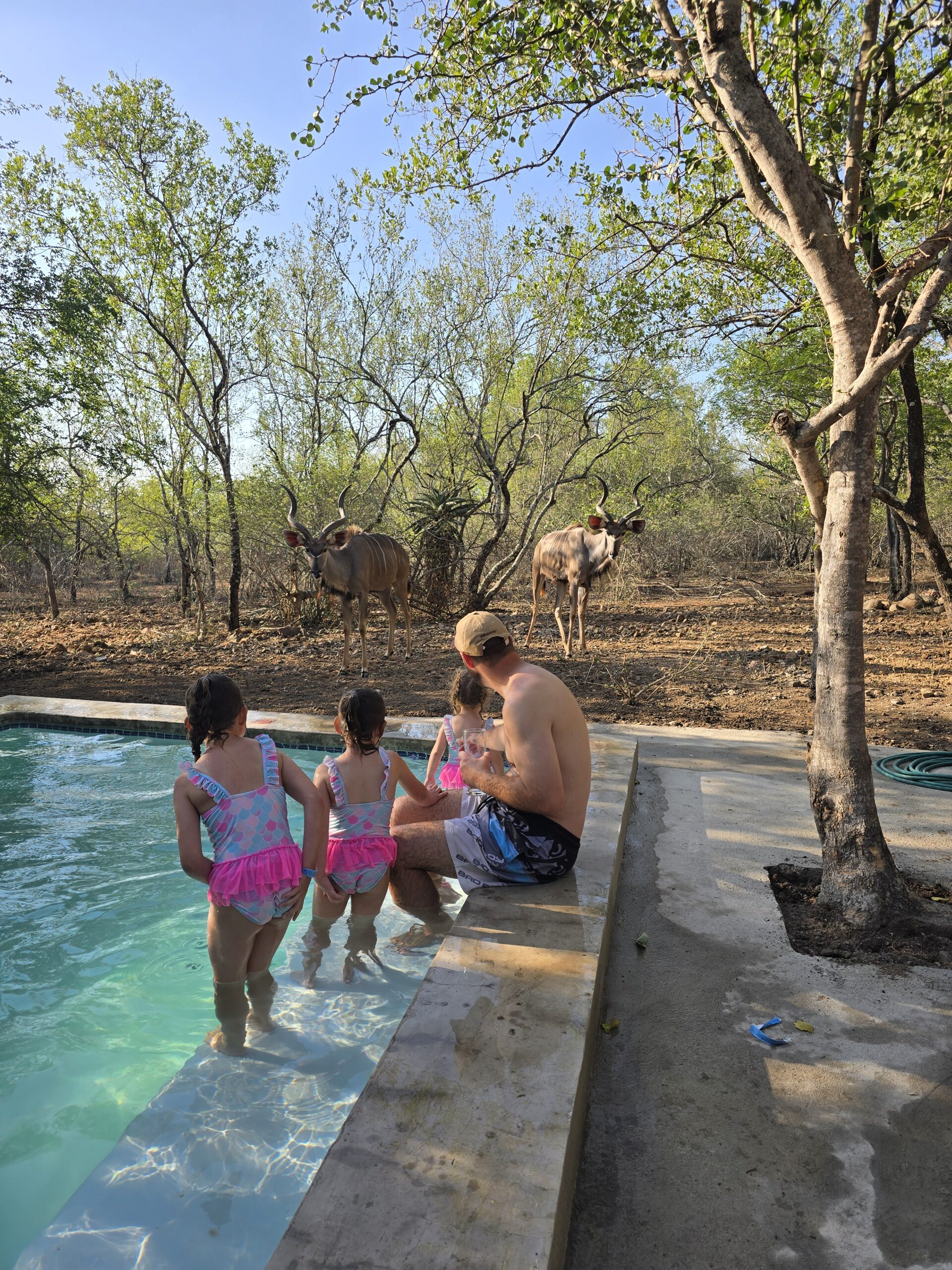 Fun for the whole family Luxury South African safari experience in Kruger National Park with My African Hunting – wildlife, nature, and adventure tours”