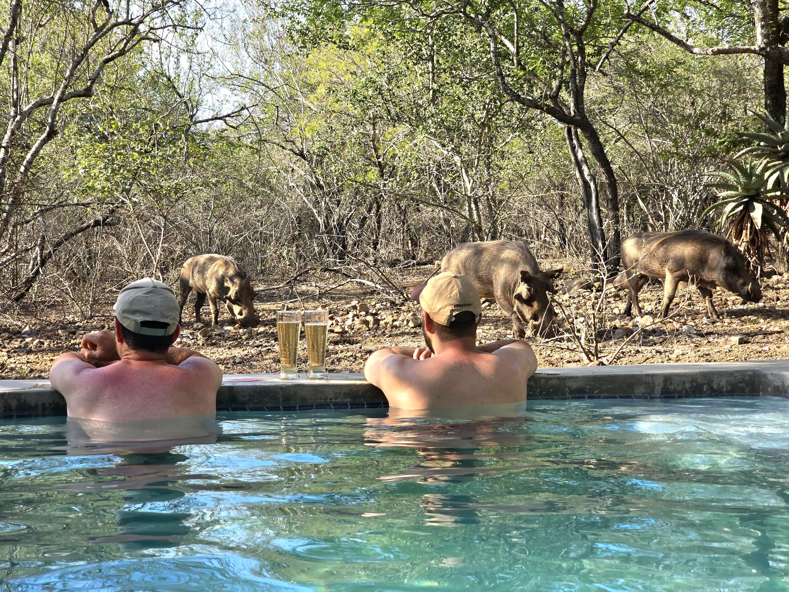 Poolside game viewing Pool side game viewing